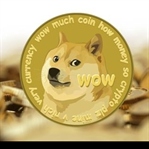 Dogecoin Nedir ? Dogecoin Nasıl Kazanılır ?