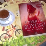 Ejder Serisinin En Son Çıkan Kitabı: Ejderin Büyüs