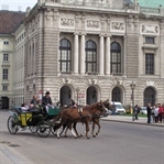 2 günde Viyana