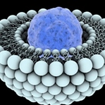 Antibiyotiklere Olası Alternatif