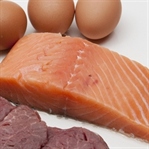 Atak Evresi 7 Günlük Saf Protein Listesi