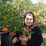 BİR LİDERİN YOKTAN VAR ETME MÜCADELESİ