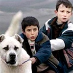 İçli bir Bozkır Türküsü “Sivas” Film Eleştirisi