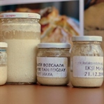 evde doğal ekmek yapımı için ekşi mayalar