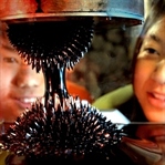 Ferromanyetik Sıvı (Ferrofluid)