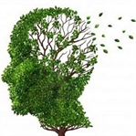 Alzheimera bitkisel savaş