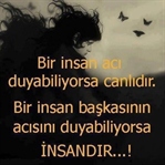 Bizim Hoşgörüye İhtiyacımız Var
