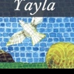 Haftanın Kitabı: "Yayla, Fakir Baykurt"