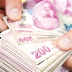 Hangi il ne kadar kredi kullandı ?
