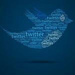 Twitter'a Erişim Yasaklandı ! Peki Neden ?