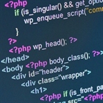 Programcılar İleri Zekâlı mıdır?