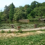 İstanbul'da bir cennet : ATATÜRK ARBORETUMU