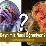 Beynimiz Nasıl Öğreniyor ?