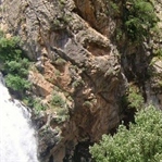 Türkler ve Göç
