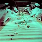 Yugoslav Kısa Filmi Tokmak: Ahlaki Sorgulama