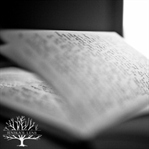 Blog Yazdım Hasana