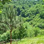 Kulindağ