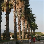 Tatil Günlüğü-1 Datça