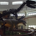 Türkiye' deki Dinozor Müzesi
