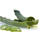 Bitkisel Mucizeler; Aloe Vera