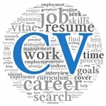 CV Örnekleri
