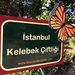 İstanbul Kelebek Çiftliği