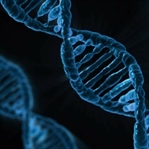 Uzaya Gönderilen DNA Canlı Olarak Geri Döndü