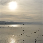 İznik Gezi Rehberi