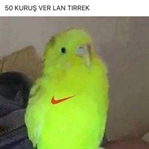 Tırrek Ne Demektir ?