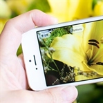 2015 Yılında iPhone ile Çekilmiş En İyi Fotoğrafla