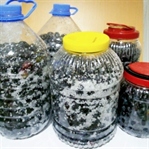 Evde Zeytin Nasıl Yapılır
