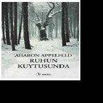 Ruhun Kuytusunda- AHARON APPELFELD