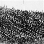 Sır Dolu Bir Patlama: Tunguska