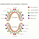 Bebeklerde Diş Çıkarma Dönemi