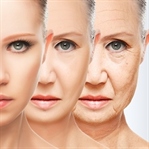 Gençleşmek için Serum Vegetal