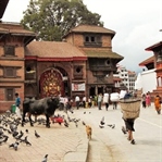 Globalliğe Direnen Kaotik Güzel: Katmandu