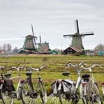 Hollanda'nın güzeli: Zaanse Schans