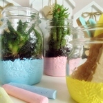 Kavanoz Terraryum Yapımı