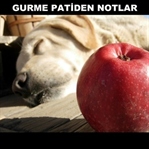 Köpeklere Faydalı Sebze ve Meyveler