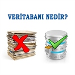 Veritabanı Nedir, Veritabanı Çeşitleri Nelerdir?
