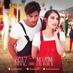 TV'de Neler Oluyor?