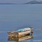 Beğendik Abi - Urla