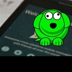 Whatsapp yuva mı yıkacak?