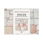 Sesler - Dokuz Öykülü Bir Roman