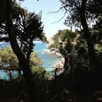 Bir sevdadır Akçakoca