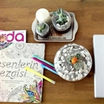 DIY: SUCCULENT (DİKENSİZ KAKTÜS)