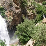 Savaş, Savaşçı, Birlik