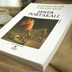 Acıyı Keşfeden Bir Çocuğun Romanı; Şeker Portakalı