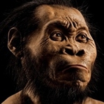 Homo Naledi ve diğer atalarımız