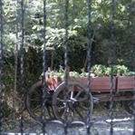 Balıklı Bahçe